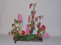 IKEBANA AVANCE RIMPA