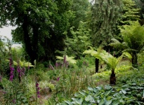 MOUNT CONGREVE GARDEN