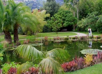 JARDIN BOTANIQUE DU VAL RAHMEH