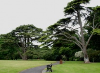 MALAHIDE DEMESNE TALBOT BOTANIC GARDEN