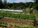 Conférence : Paysages gourmands et jardins forêt