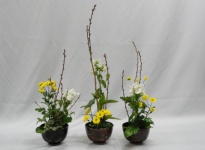 IKEBANA 2 HANA ISHO EN LIGNE