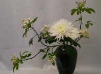 IKEBANA 2 HANA ISHO INCLINE EN HEIKA