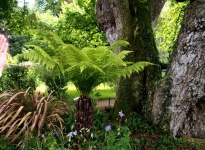 VISITE DU JARDIN