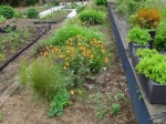 Conférence : Le (ré) aménagement du jardin