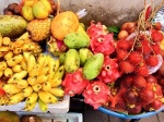 Conférence : Les fruits de demain dans nos jardins