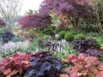 Conférence : Un jardin beau et coloré toute l'année