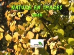 Spectacle : Nature en images