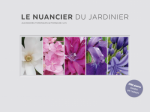 Conférence : Le nuancier du jardinier